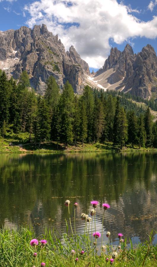Hotel Il Cardo San Vito di Cadore Zewnętrze zdjęcie