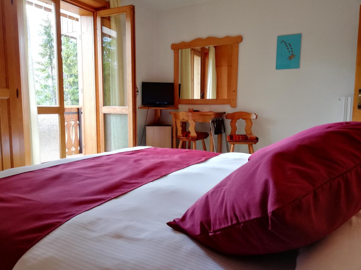 Hotel Il Cardo San Vito di Cadore Zewnętrze zdjęcie