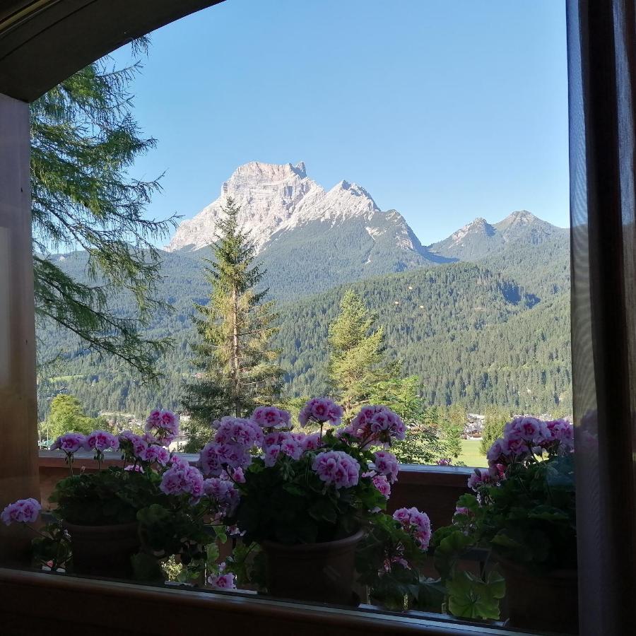 Hotel Il Cardo San Vito di Cadore Zewnętrze zdjęcie