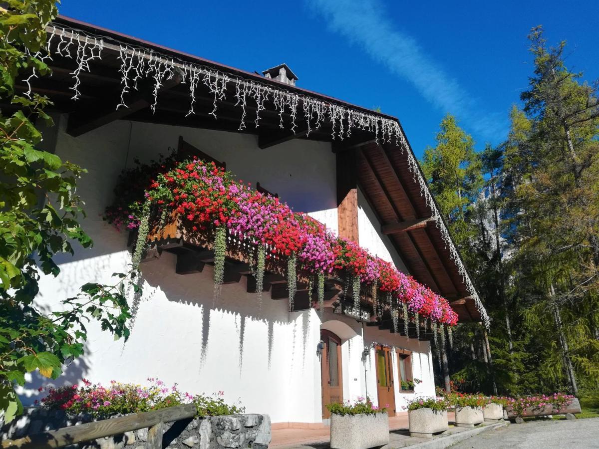 Hotel Il Cardo San Vito di Cadore Zewnętrze zdjęcie